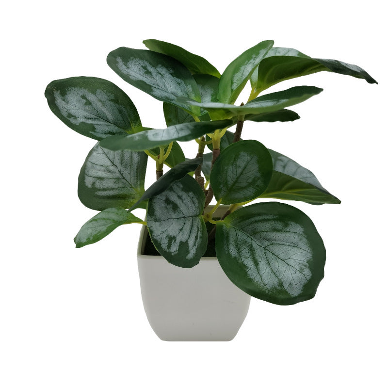 Living Room Home Decoration Ornaments Bonsai Decoration