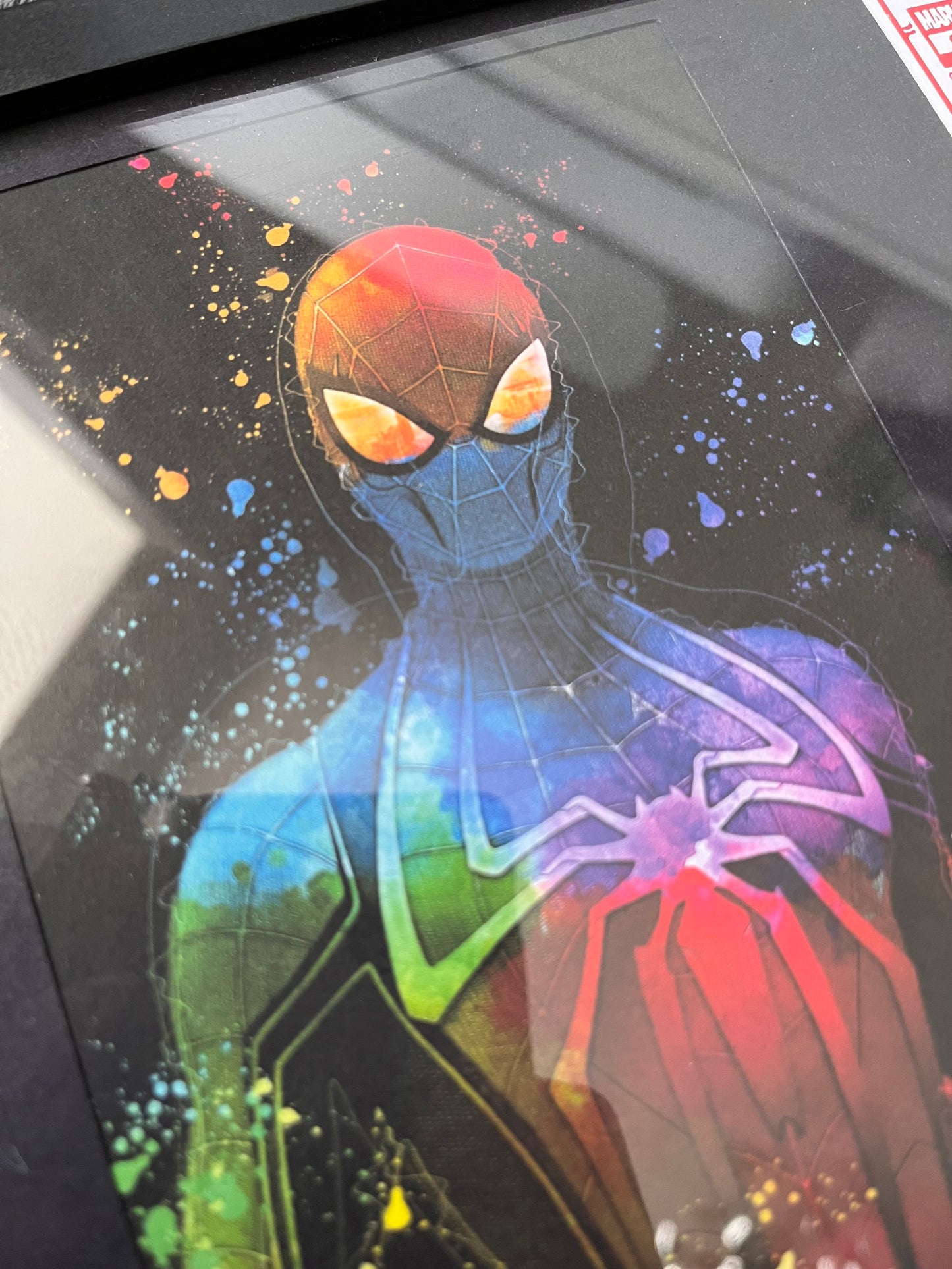 LIMITED EDITION, Spider-Man Picture & Foil Printed Comic Cover
