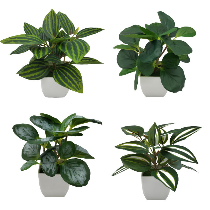 Living Room Home Decoration Ornaments Bonsai Decoration