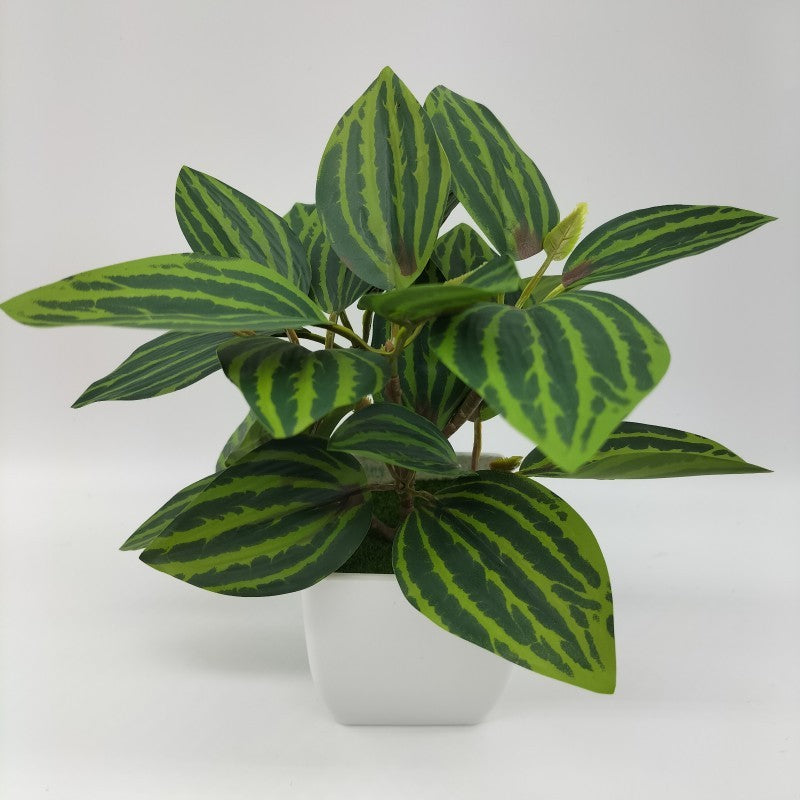 Living Room Home Decoration Ornaments Bonsai Decoration
