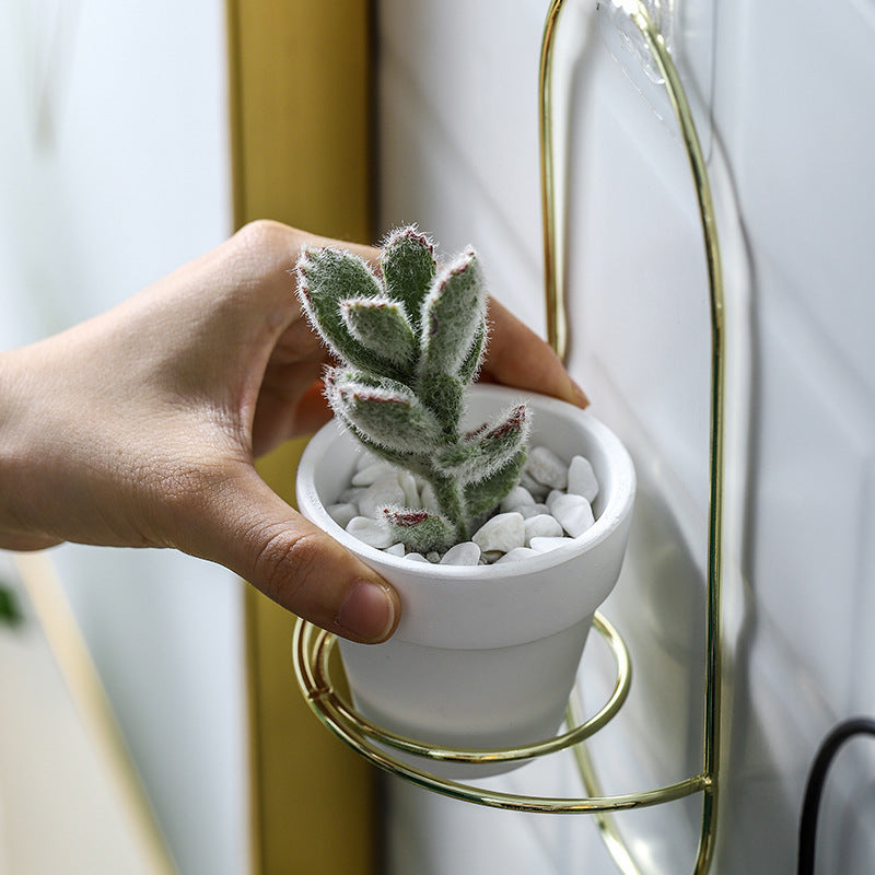 Living Room Indoor Succulent Ornaments Ins Decoration