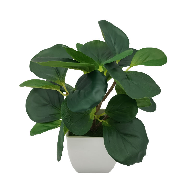 Living Room Home Decoration Ornaments Bonsai Decoration