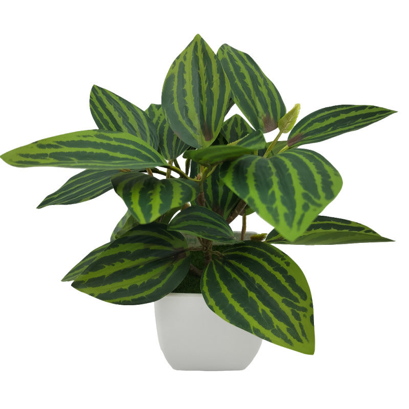 Living Room Home Decoration Ornaments Bonsai Decoration