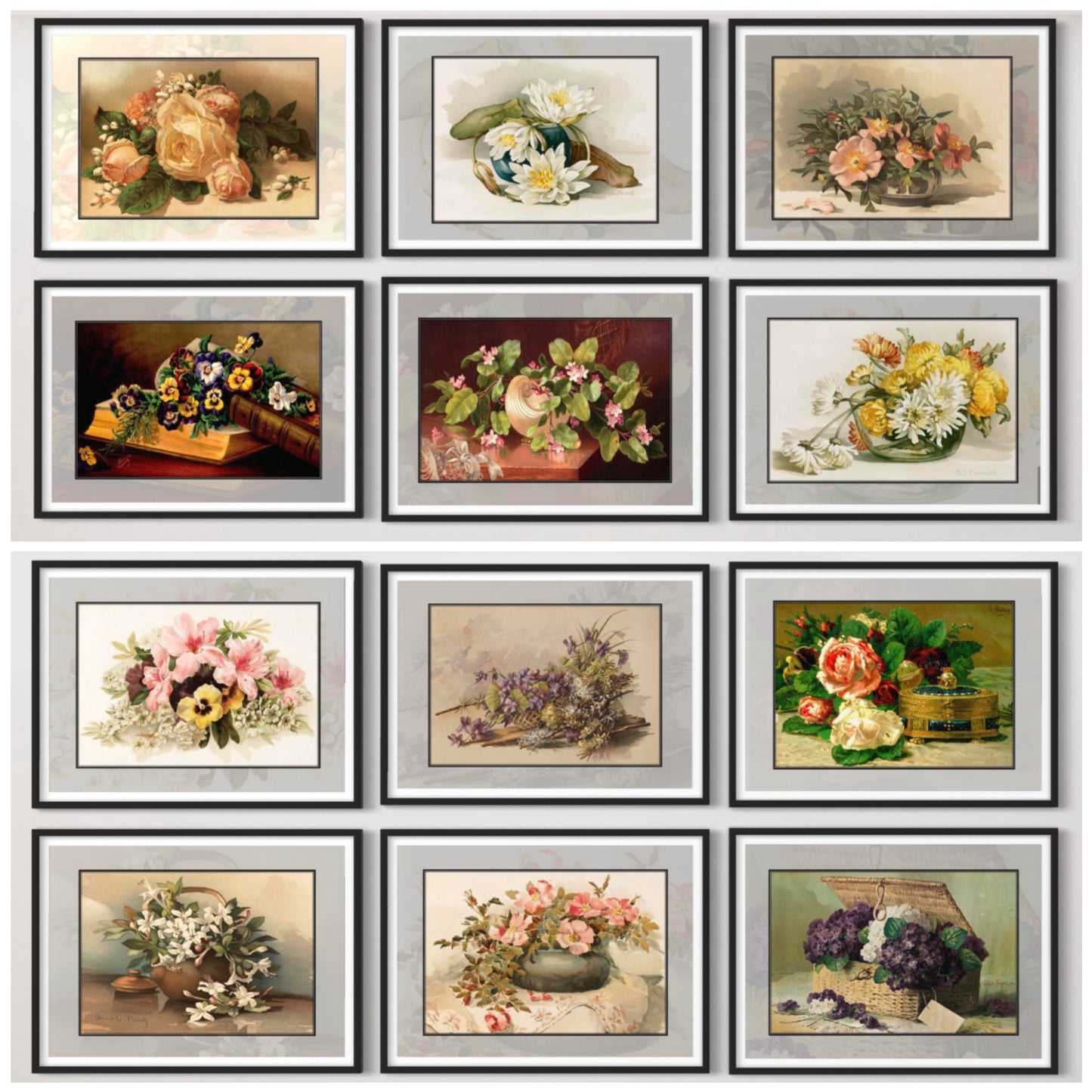 Set of 12 Vintage Floral Art Prints, Digital Download