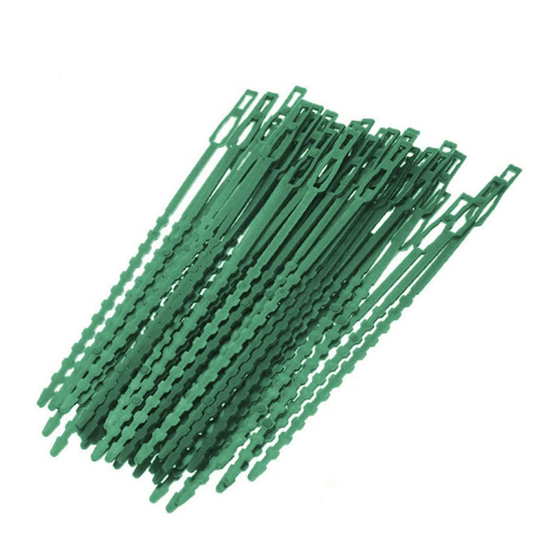 Fishbone Ribbon Green Plastic Garden Vine Strap