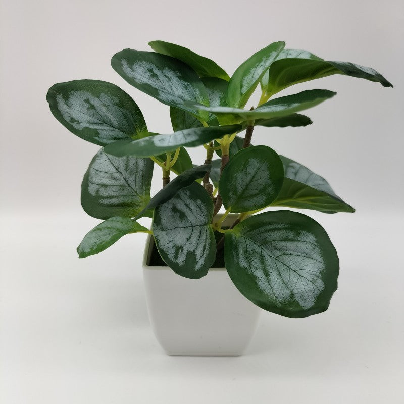 Living Room Home Decoration Ornaments Bonsai Decoration