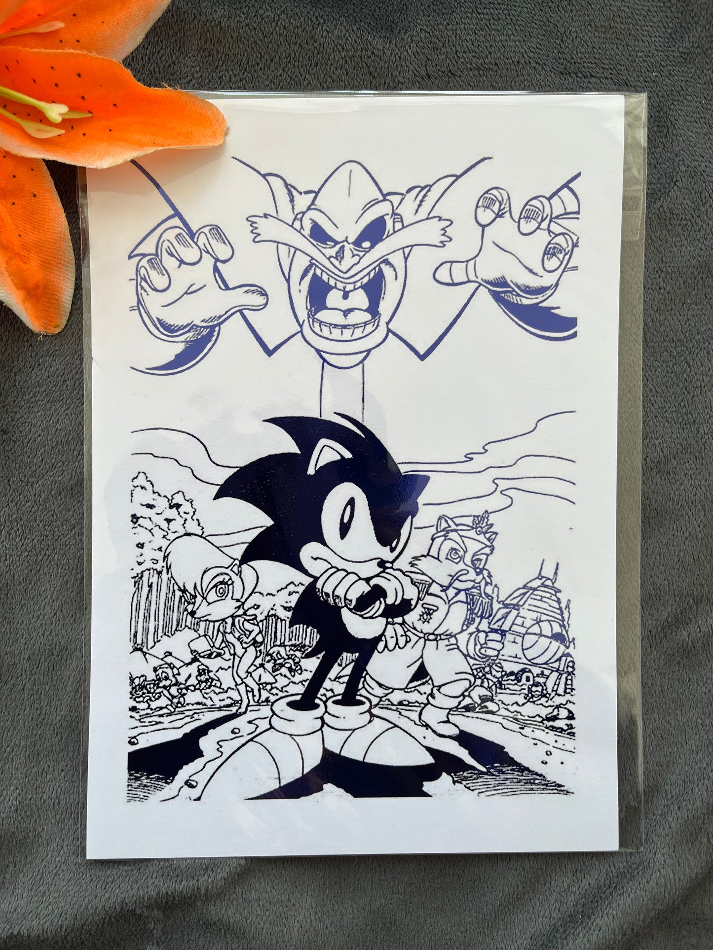 Sonic The Hedgehog Foil Print