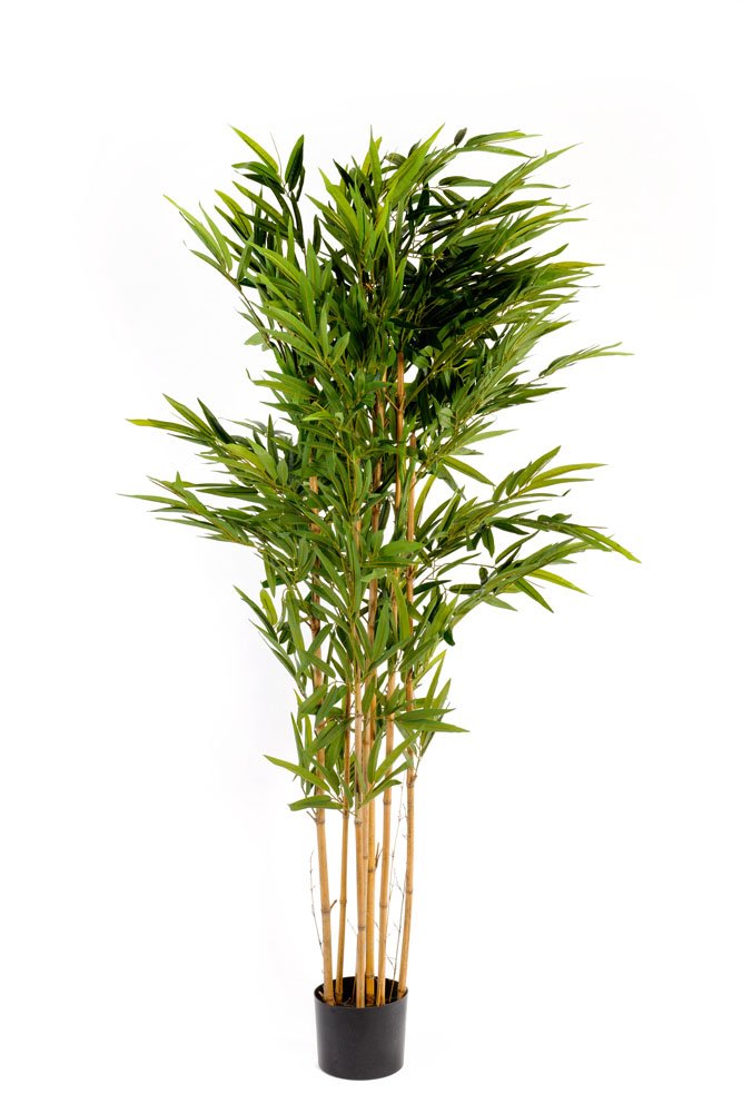 Artificial 6ft Bamboo Tree