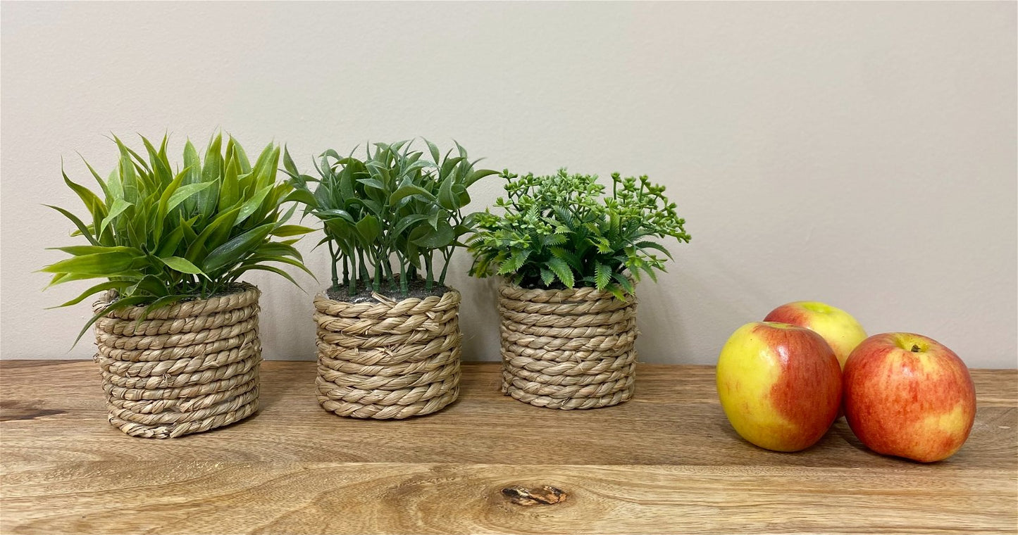 A Set Of Three Rope Effect Pots And Artificial Succulents