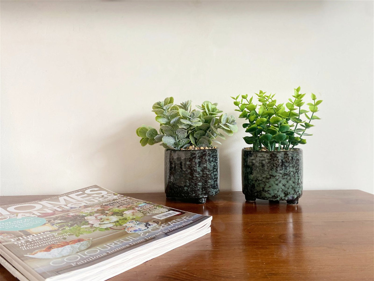 Set Of Two Succulent In Glazed Pots