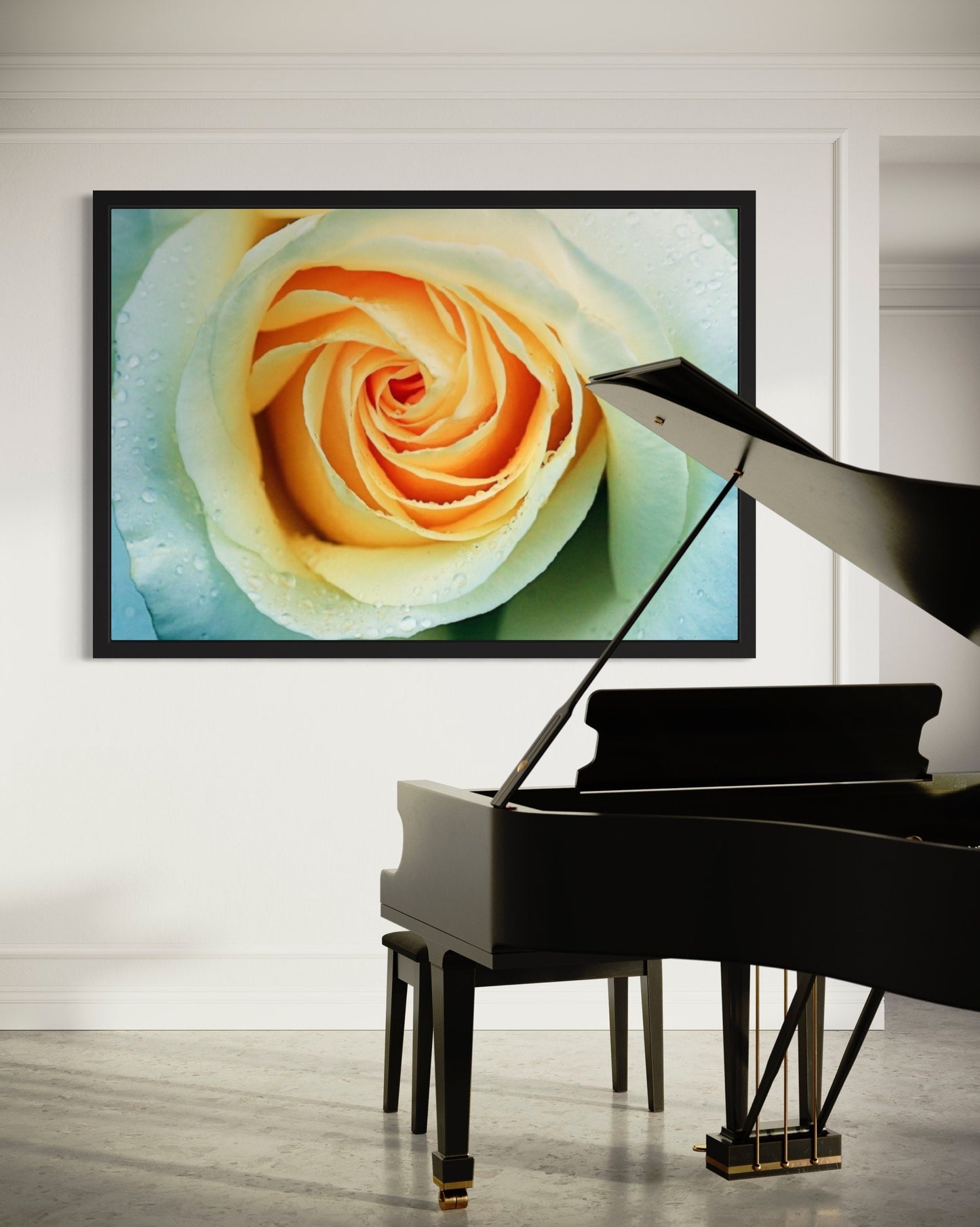 White Rose With Raindrops Close Up Print