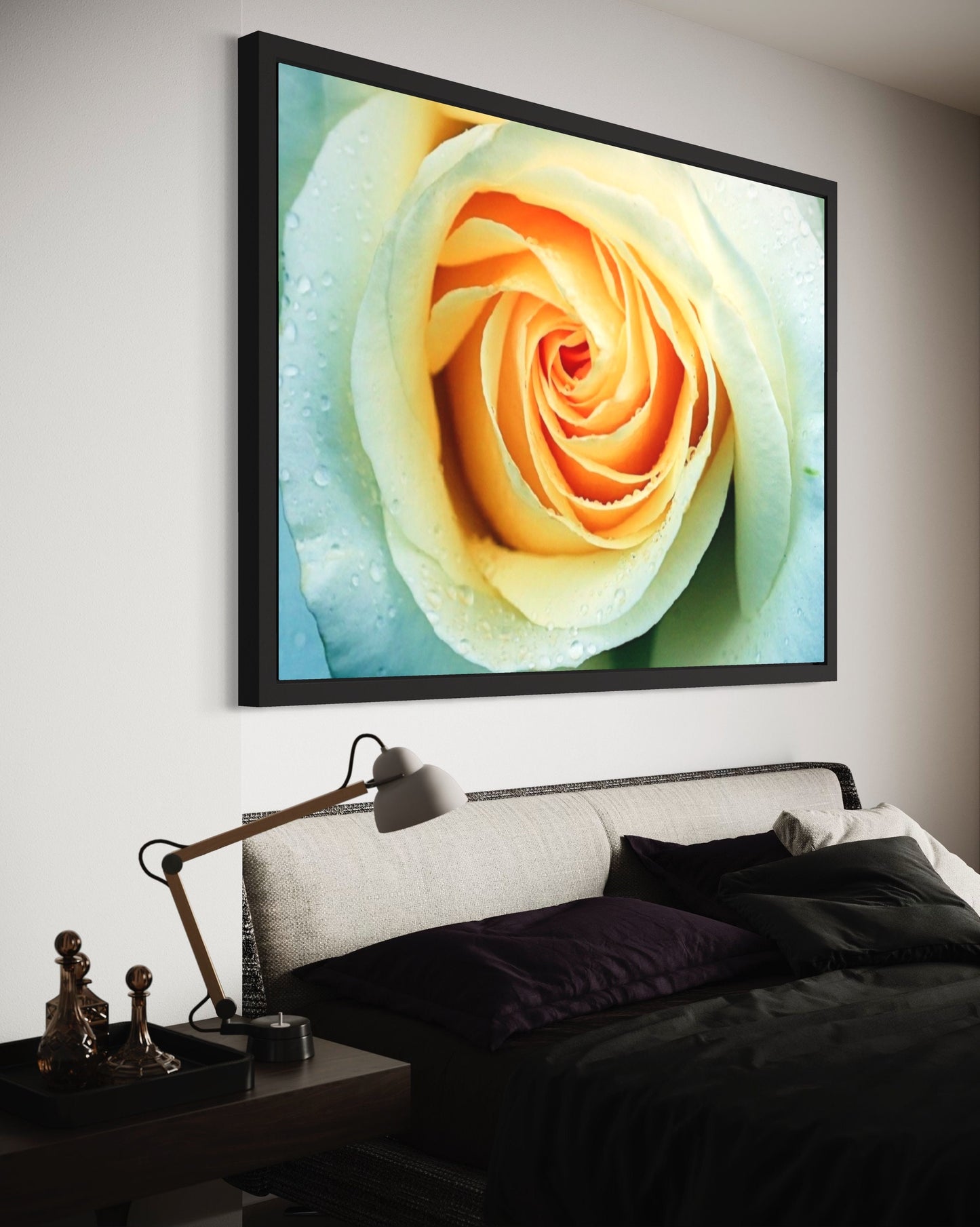 White Rose With Raindrops Close Up Print